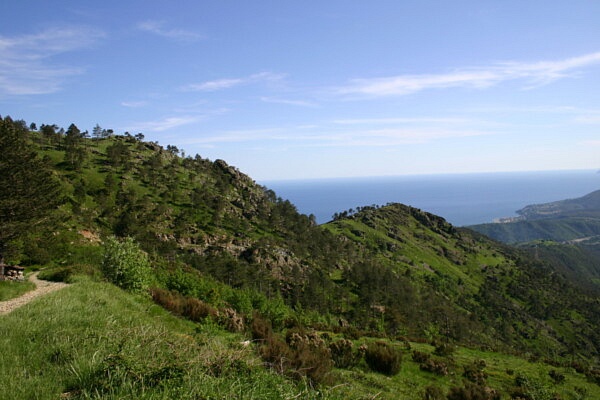 liguria-val-lerone-AIAPP