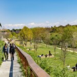 Progetto finalista: Parco Marconi - Paesaggi e Paesaggi (Image courtesy - Mattia Proietti Tocca)