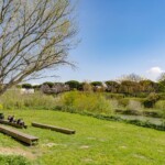 Progetto finalista: Parco Marconi - Paesaggi e Paesaggi (Image courtesy - Mattia Proietti Tocca)